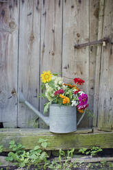 Blumenstrauß aus bunten Blumen in einer verzinkten Gießkanne an einer Holzwand - ONAF00159