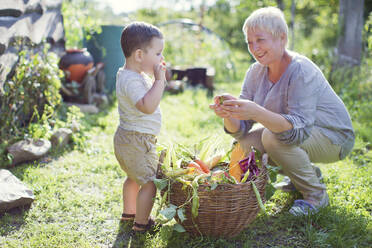 Glückliche reife Frau mit Enkel, der an einem sonnigen Tag neben einem Gemüsekorb steht - ONAF00160