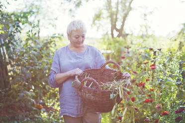 Ältere Frau mit Korb, die an einem sonnigen Tag neben blühenden Pflanzen steht - ONAF00164
