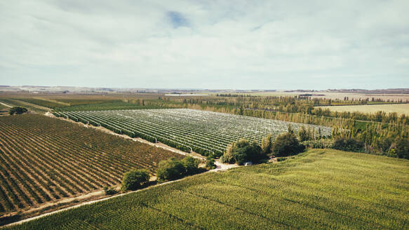 Spain, Catalonia, Lleida, Aerial view of countryside fields - ACPF01481