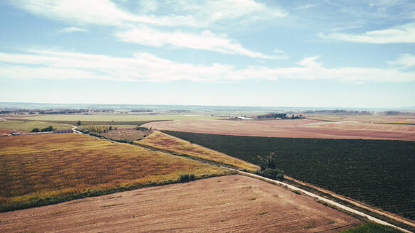 Spanien, Katalonien, Lleida, Luftaufnahme von Maisfeldern auf dem Land - ACPF01482