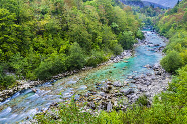 Slowenien, Fluss Soca im Triglav-Nationalpark - STSF03501