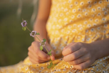 Hand eines Mädchens, das eine Kleeblume hält - NJAF00012