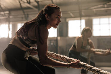 Young women exercising with rope at a gym. Fitness female pulling rope at gym. - JLPSF00388