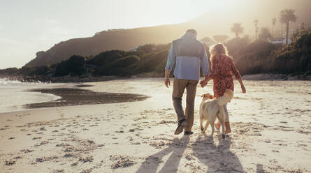 Rückansicht in voller Länge eines älteren Paares, das mit seinem Hund am Strand spazieren geht. Älteres Paar, das seinen Urlaub am Meer genießt. - JLPSF00467