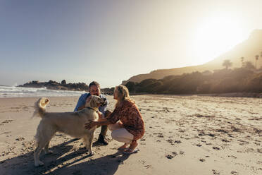 Älteres Paar am Strand mit ihrem Hund am Morgen. Älterer Mann und Frau streicheln den Hund am Ufer. - JLPSF00471