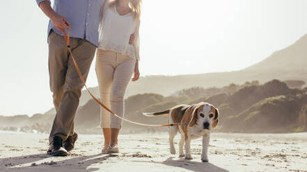 Älteres Paar, das mit seinem Hund am Strand spazieren geht. Hund, der morgens mit dem Paar am Strand spazieren geht. - JLPSF00478