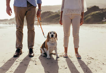 Haustier Hund sitzt am Strand mit Besitzer Paar. Älteres Paar auf Morgenspaziergang mit ihrem Haustier Hund. - JLPSF00481