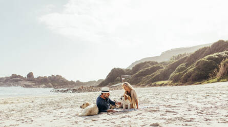 Senior couple relaxing on beach sand with their pet dogs. Mature man and woman with pet dogs on the shore in morning. - JLPSF00484