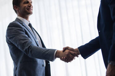 Business partners shaking hands and finishing up a meeting. Smiling businesswoman shaking hands with a colleague. - JLPSF01350