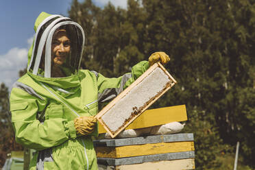 Lächelnder Imker mit Bienenstock an einem sonnigen Tag - IEF00135