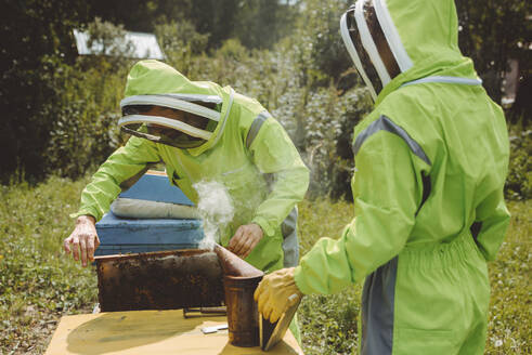Ein Imker mit einem Kollegen, der einen Bienenräucherofen hält, untersucht einen Bienenstock in einem Bienenstand - IEF00148