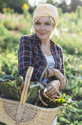 Lächelnder Gärtner mit Korb voller Gemüse an einem sonnigen Tag - AANF00325