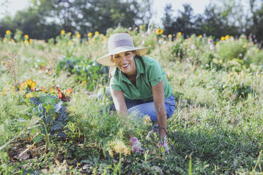 Glücklicher reifer Gärtner mit Hut bei der Gemüseernte auf einem Feld - AANF00336