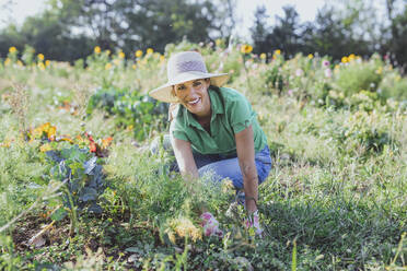 Happy mature gardener wearing hat harvesting vegetables at field - AANF00336