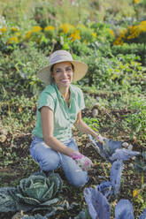 Happy mature gardener harvesting vegetables at field - AANF00339