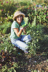 Happy gardener with bell peppers crouching at field on sunny day - AANF00347