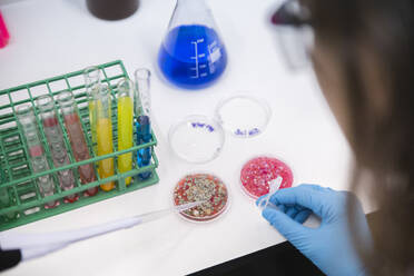 Scientist using pipette by petri dishes on table in laboratory - PCLF00035