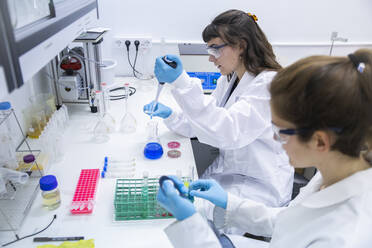 Scientists experimenting with chemicals on table in laboratory - PCLF00036