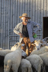 Glücklicher älterer Landwirt mit Händen in der Hüfte inmitten von Schafen auf dem Bauernhof stehend - AANF00378