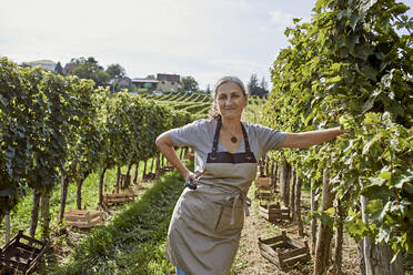 Lächelnder reifer Landwirt mit Hand in der Hüfte im Weinberg stehend - ZEDF04815