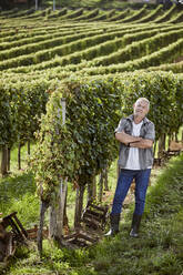 Smiling mature farmer standing with arms crossed in vineyard - ZEDF04822