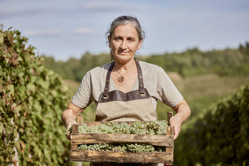 Lächelnder reifer Landwirt mit einer Kiste Weintrauben auf einem Bauernhof an einem sonnigen Tag - ZEDF04835