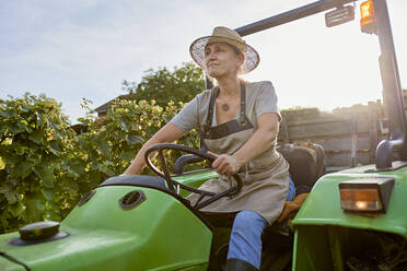 Farmer wearing straw hat driving tractor in vineyard - ZEDF04880