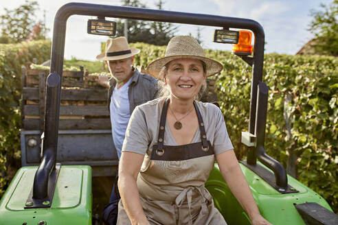 Ältere Landwirte auf einem Traktor mit einer Kiste Trauben im Weinberg - ZEDF04882