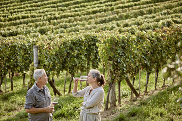 Mature woman drinking wine standing by man in vineyard - ZEDF04888