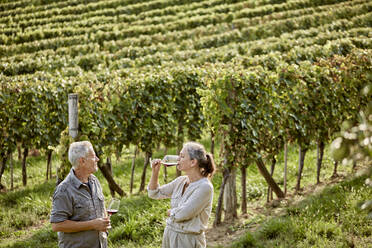 Reife Frau trinkt Wein und steht neben einem Mann im Weinberg - ZEDF04888
