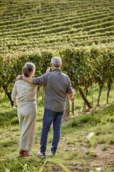 Man and woman holding wineglasses in front of vineyard - ZEDF04889