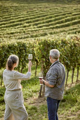 Mature couple holding wineglasses in front of vineyard - ZEDF04890