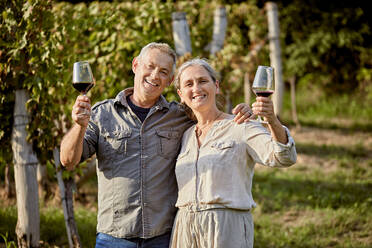 Happy mature couple holding wineglasses on sunny day - ZEDF04894