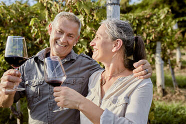 Smiling mature couple holding red wineglasses in front of vineyard - ZEDF04896