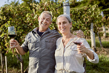 Happy couple holding red wineglasses in front of vineyard - ZEDF04898