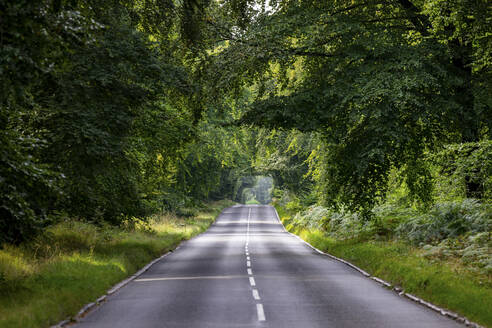 UK, England, Asphaltierte Straße durch grünen Wald in Cannock Chase - WPEF06517