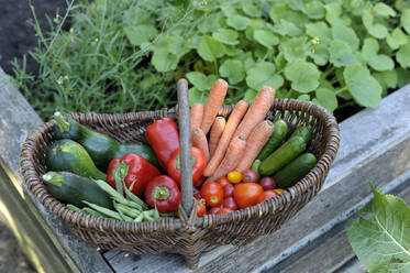 Wicker basket filled with homegrown vegetables - GISF00927