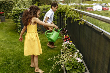 Mädchen mit Bruder bewässert Pflanze mit grüner Kanne im Garten - VIVF00041