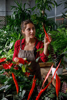 Cheerful young woman in apron spraying clean water on bright tropical flowers and smiling during work in hothouse - ADSF39320