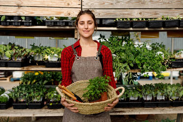 Woman in apron looking at camera smiling carrying wicker basket with gardening tools and potted sprouts while working in hothouse - ADSF39324