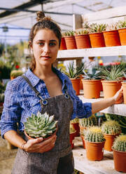 Woman in apron looking at camera smiling with checkered shirt demonstrating pot with green succulent to camera while working in greenhouse - ADSF39329