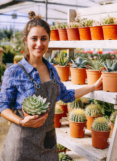 Woman in apron looking at camera smiling with checkered shirt demonstrating pot with green succulent to camera while working in greenhouse - ADSF39330