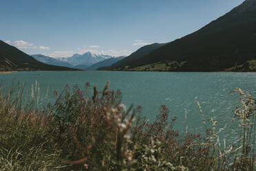 Italien, Trentino-Südtirol, Blick auf den Reschensee im Sommer mit den Alpen im Hintergrund - DMGF00851