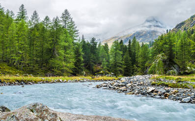 Österreich, Gschlossbach im Nationalpark Hohe Tauern - STSF03531