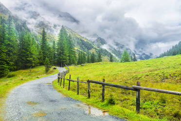 Österreich, Leerer Feldweg mit nebligem Tal im Hintergrund - STSF03534