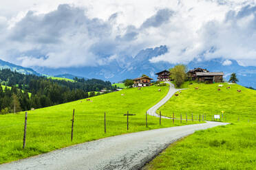 Austria, Tyrol, Asphalt footpath stretching toward hilltop pasture and farmhouses - STSF03536