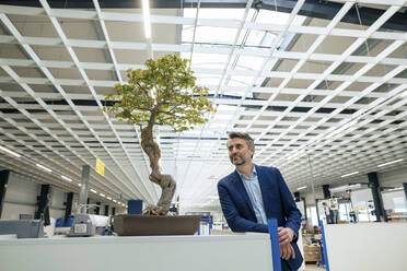 Smiling mature businessman standing by bonsai tree in industry - JOSEF14014