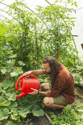 Landwirt bewässert Pflanzen im Gewächshaus - PCLF00098