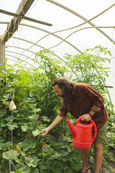 Landwirt hält Gießkanne und untersucht Pflanzen im Gewächshaus - PCLF00100
